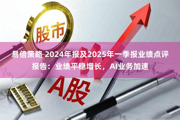 易倍策略 2024年报及2025年一季报业绩点评报告:业绩平稳增长,AI业务加速
